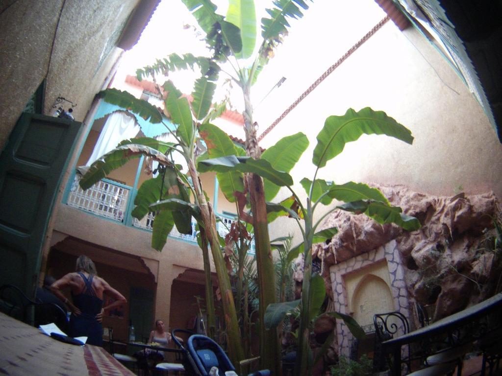 Riad Dar Mchicha مراكش المظهر الخارجي الصورة