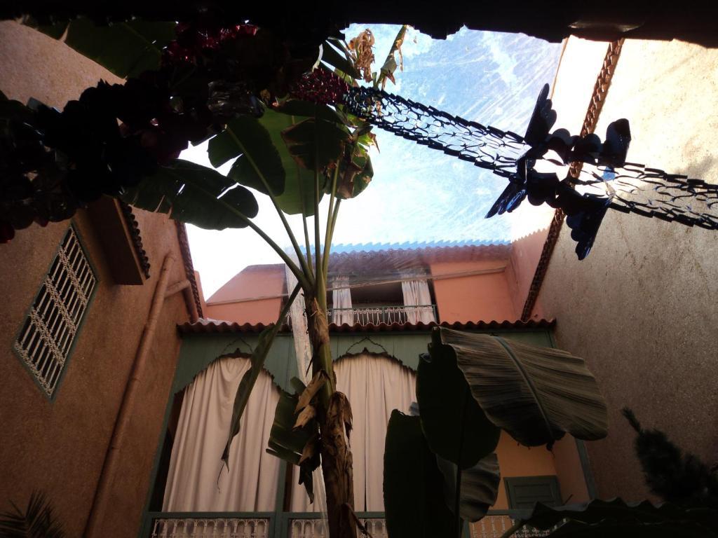 Riad Dar Mchicha مراكش المظهر الخارجي الصورة