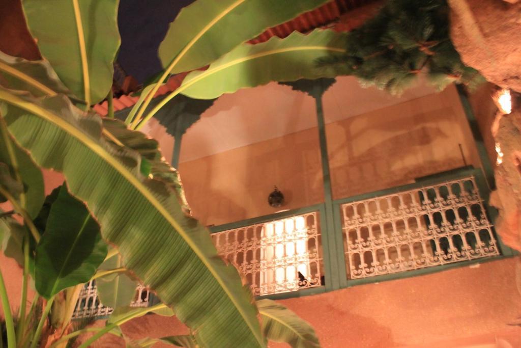 Riad Dar Mchicha مراكش المظهر الخارجي الصورة